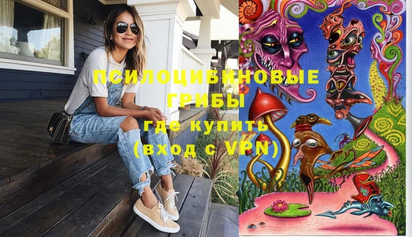 крисы Алексеевка
