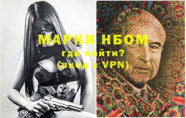 хмурый Алзамай