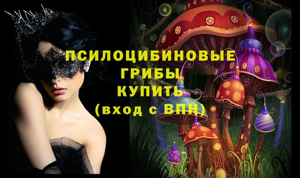 хмурый Алзамай
