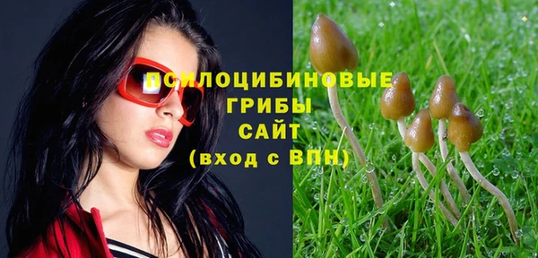 хмурый Алзамай