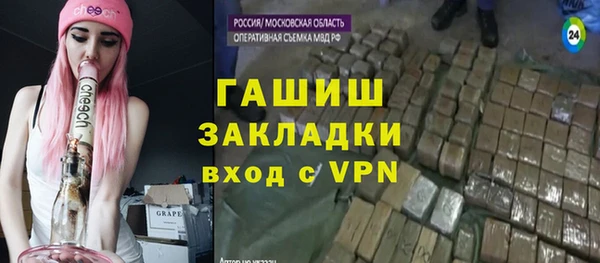 хмурый Алзамай