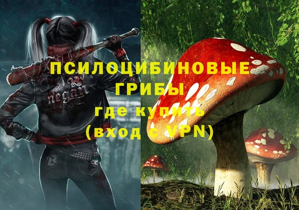 крисы Алексеевка