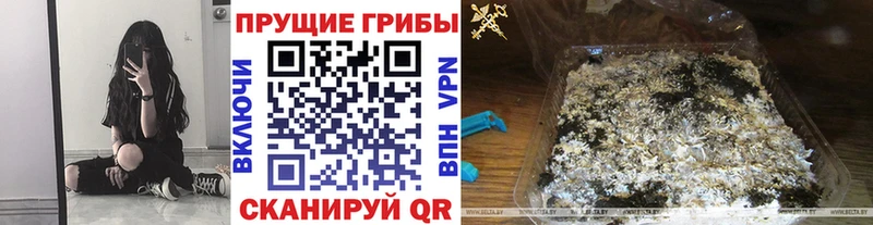 купить  сайты  Катав-Ивановск  Галлюциногенные грибы прущие грибы 